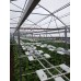 Герметичний світильник для гідропоніки та аеропоніки PLANT GROW 50-30 Герметичний світильник для гідропоніки та аеропоніки PLANT GROW 50-30